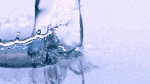 12.gif